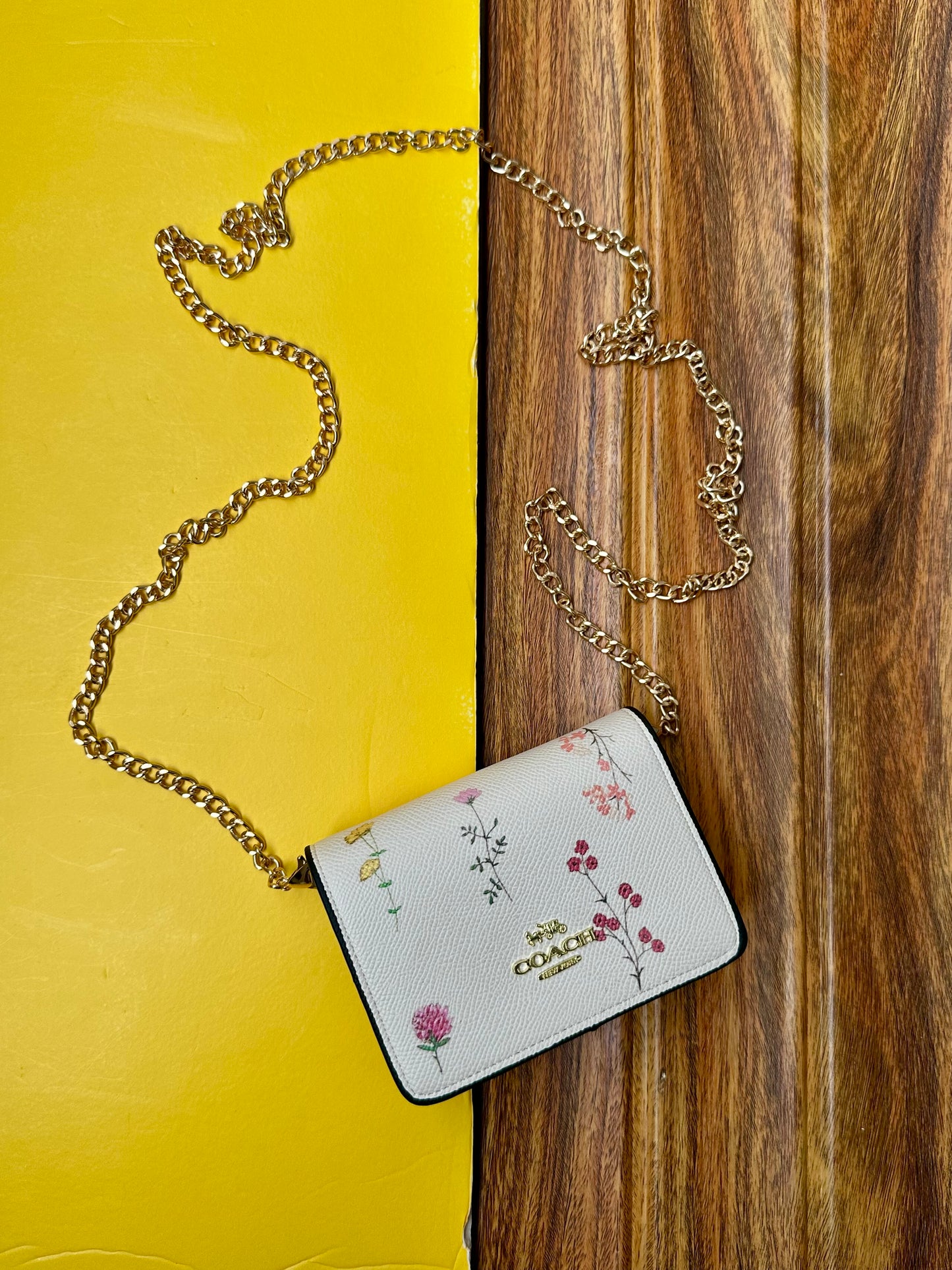 Coach wallet with chain ( remove able chain )