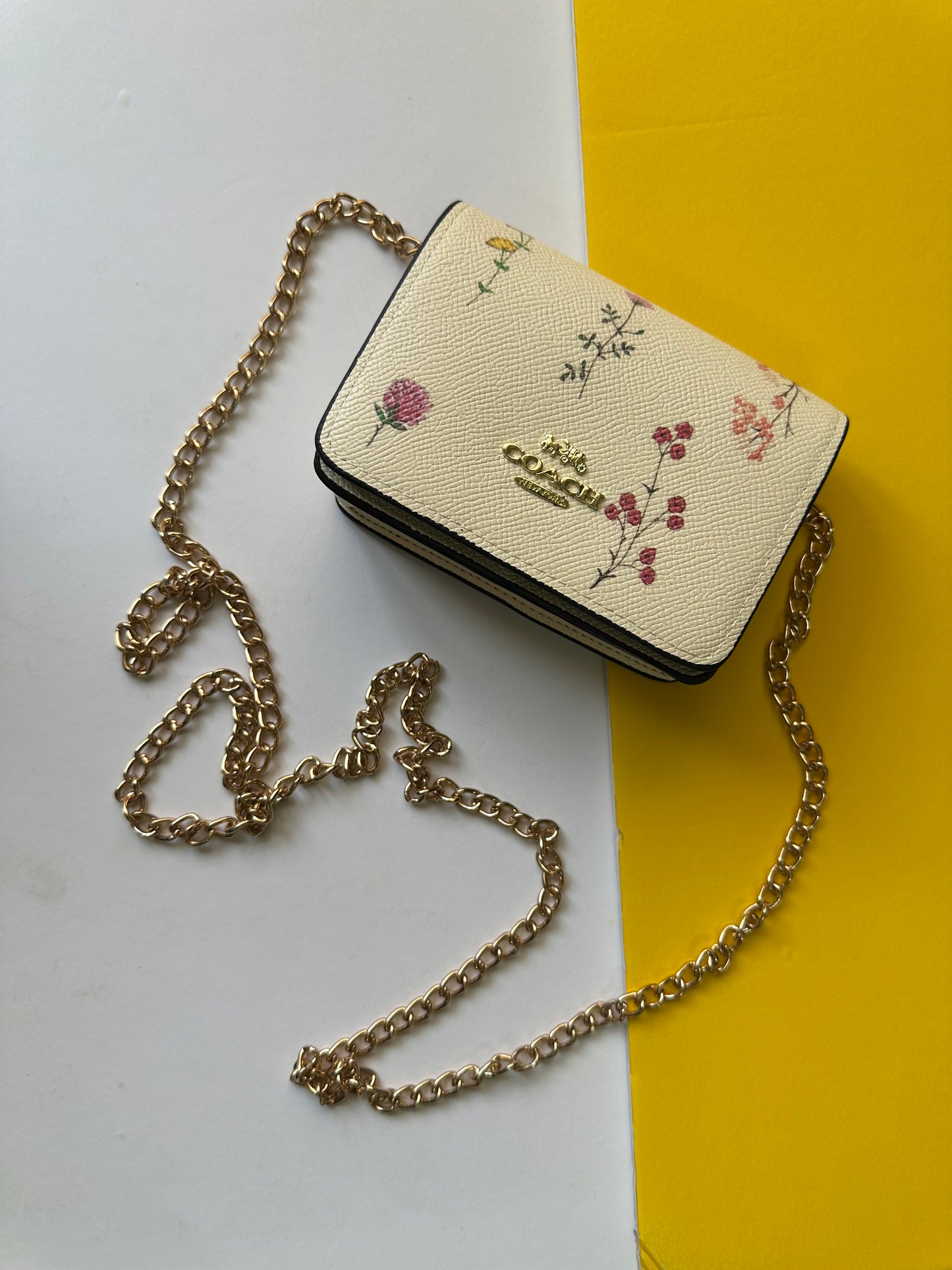 coach wallet / mini bag