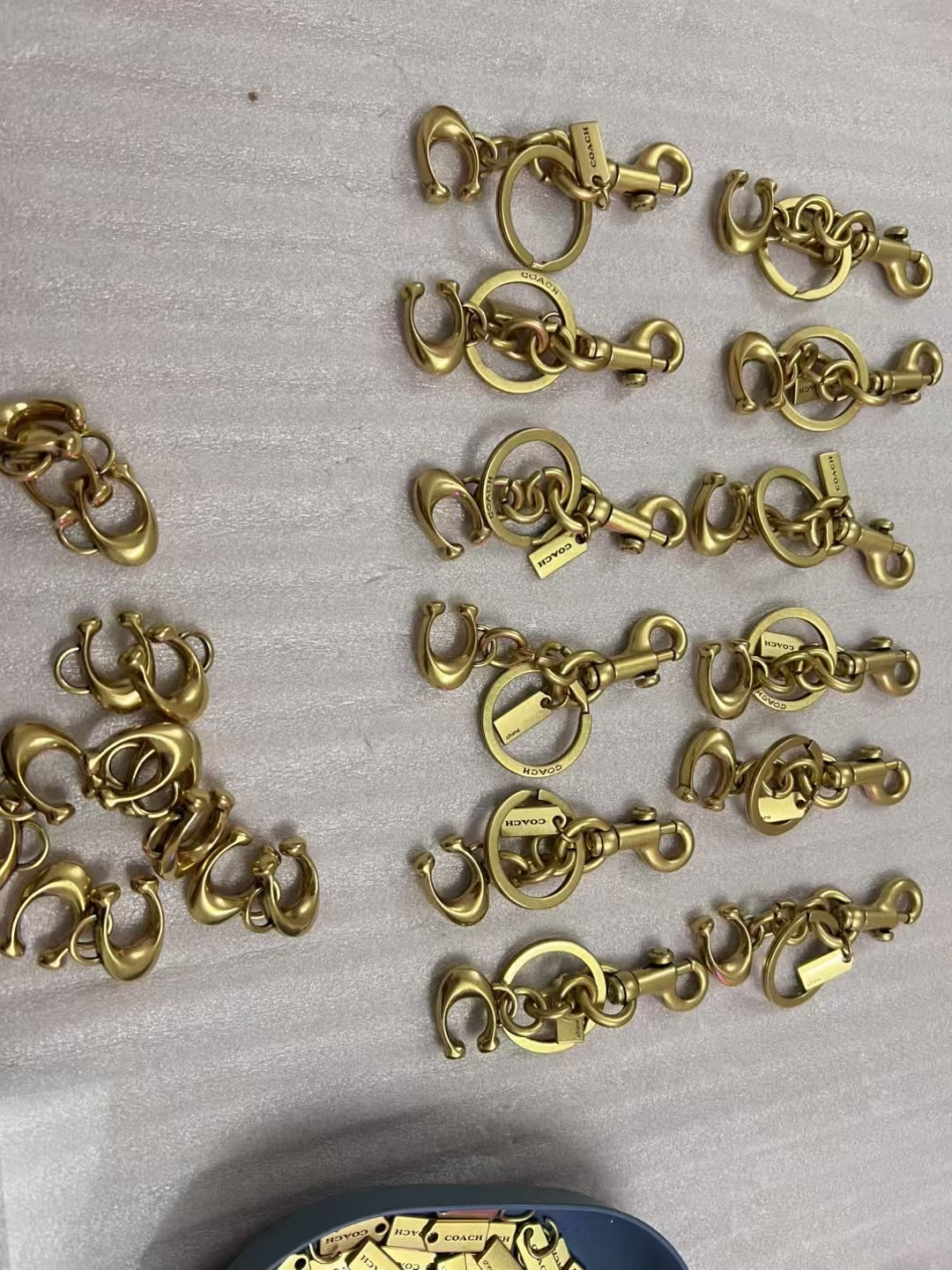 Coach keychain