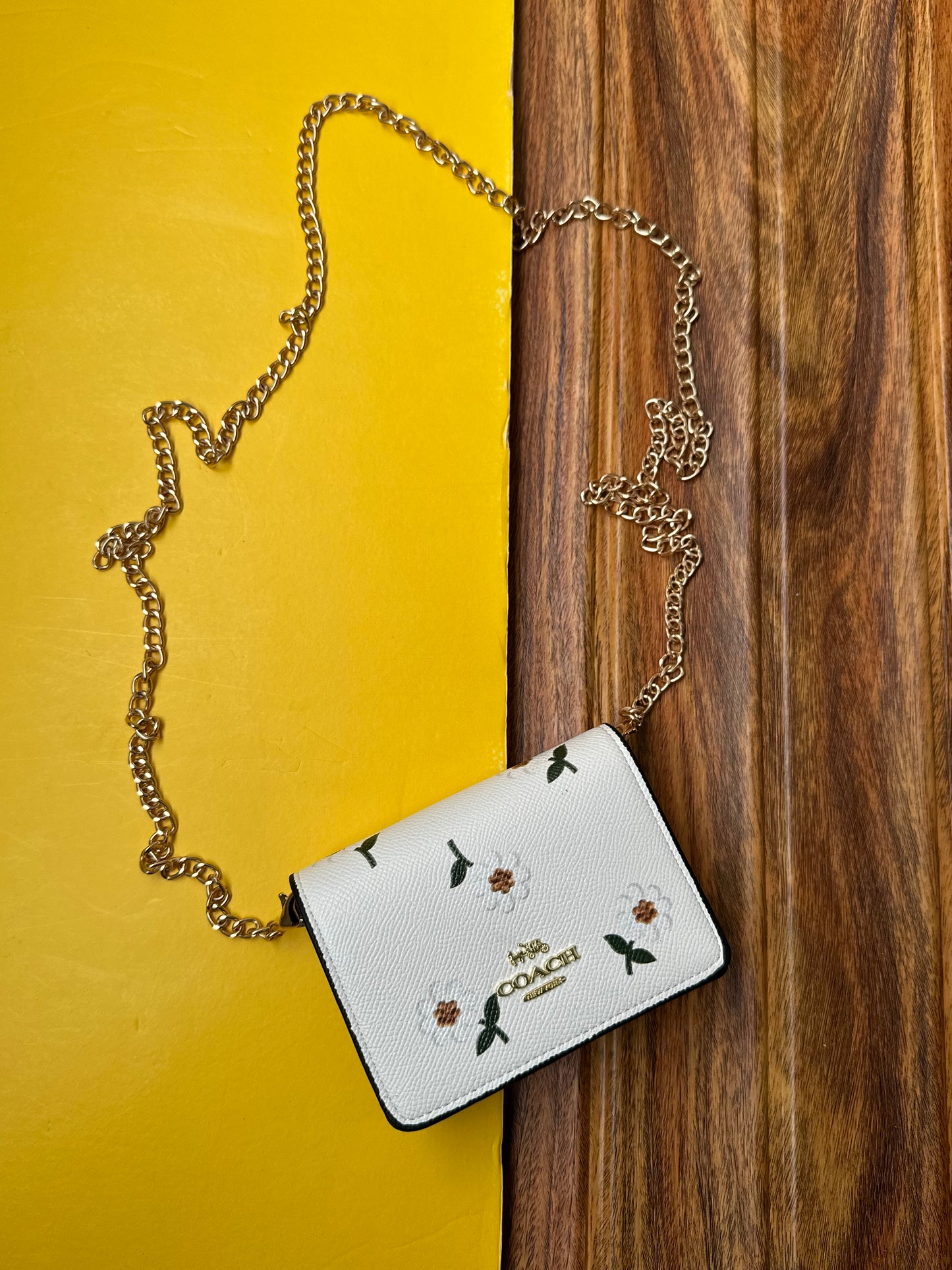 Coach wallet with chain ( remove able chain )