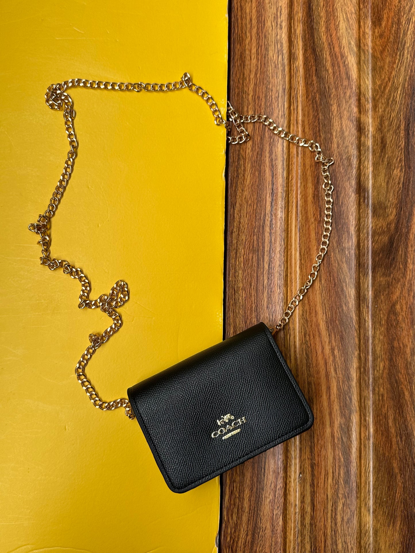 Coach wallet with chain ( remove able chain )