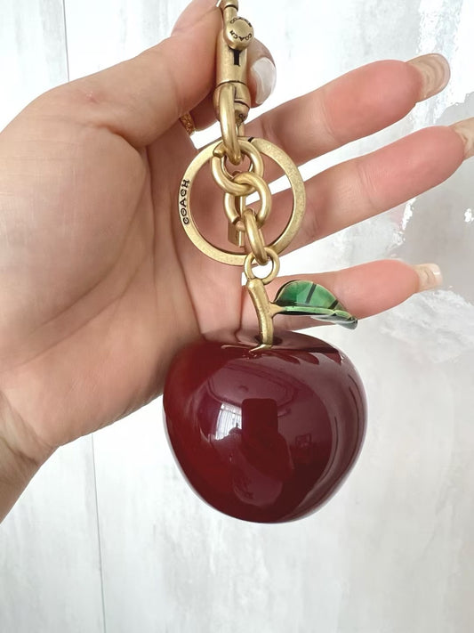 Coach keychain