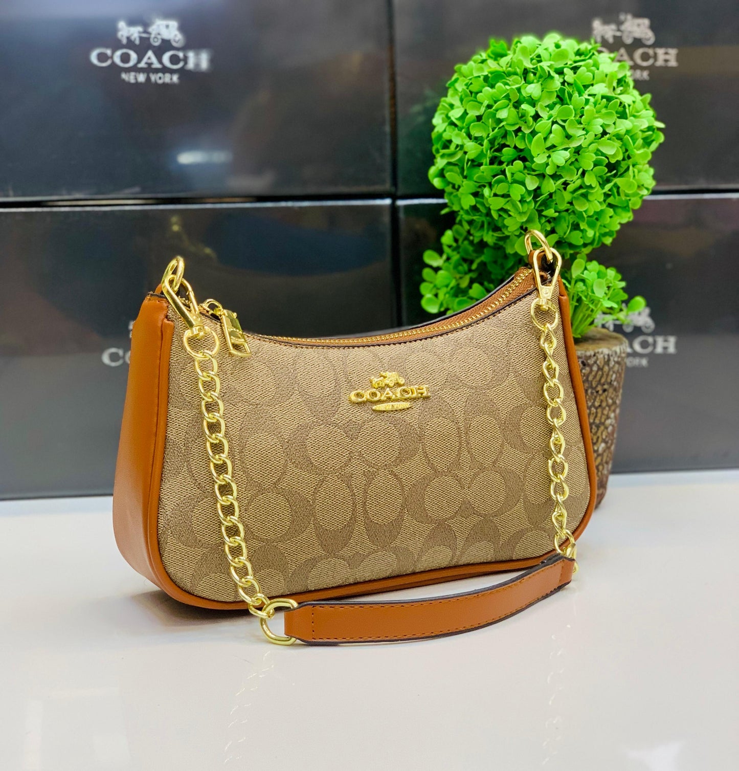 Coach bag ( 5 colors)