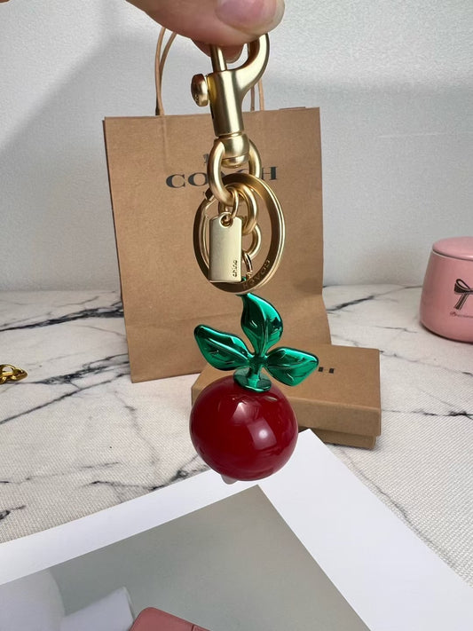 Coach keychain