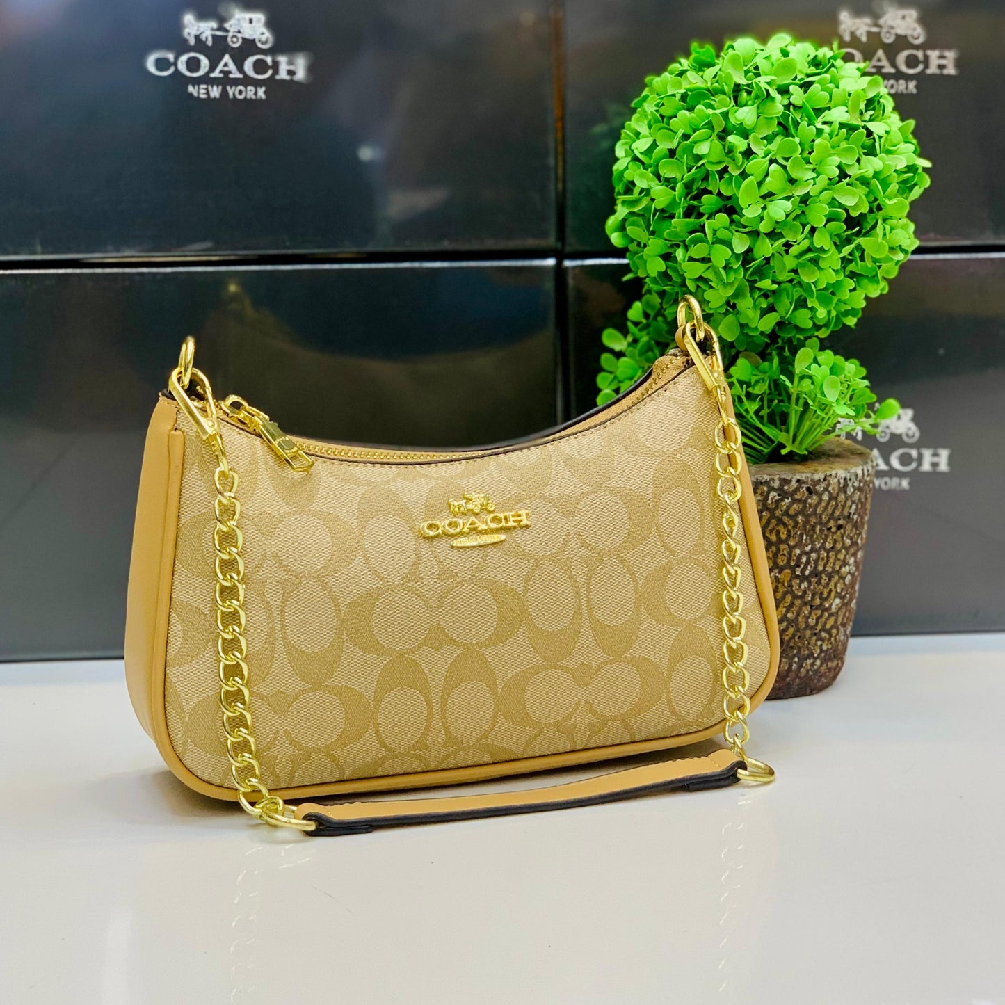Coach bag ( 5 colors)