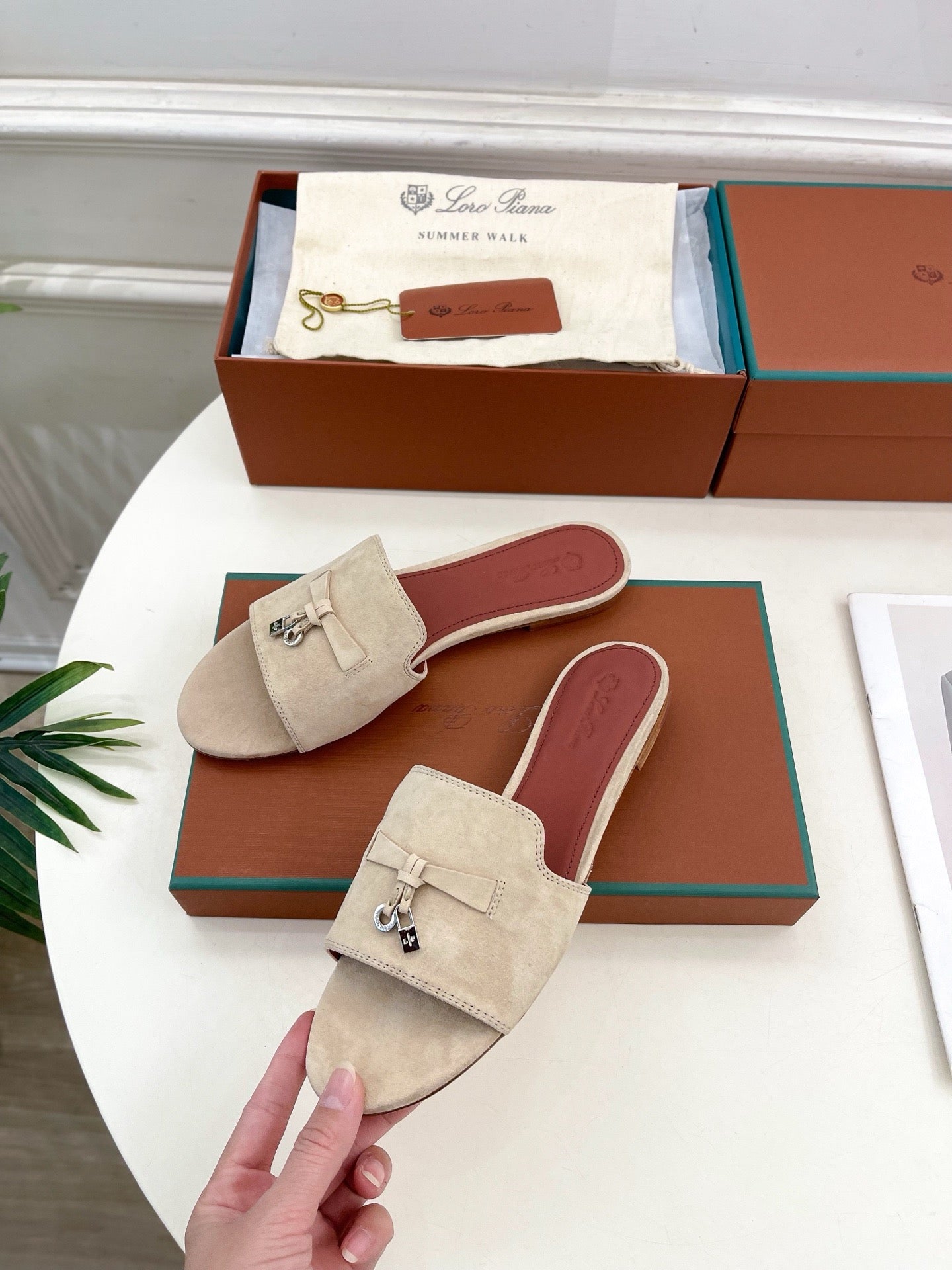 Loro Piana new edition