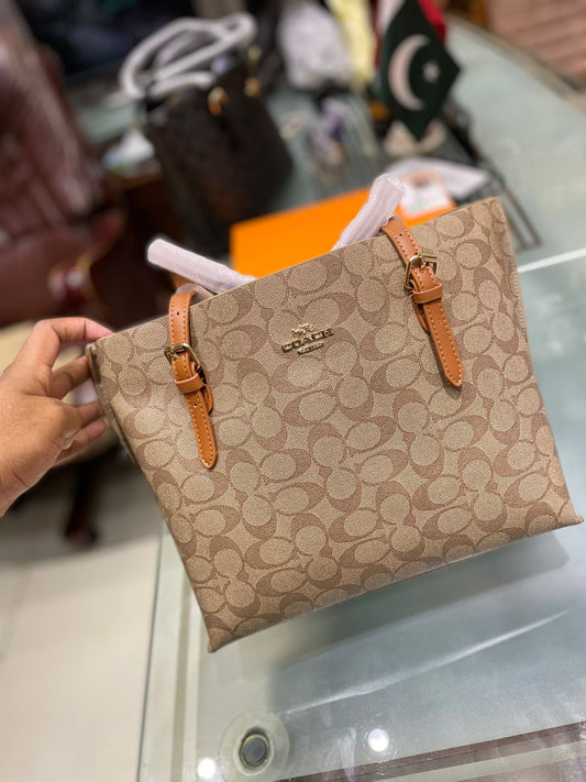 C famous brand bag ( 4 colors)