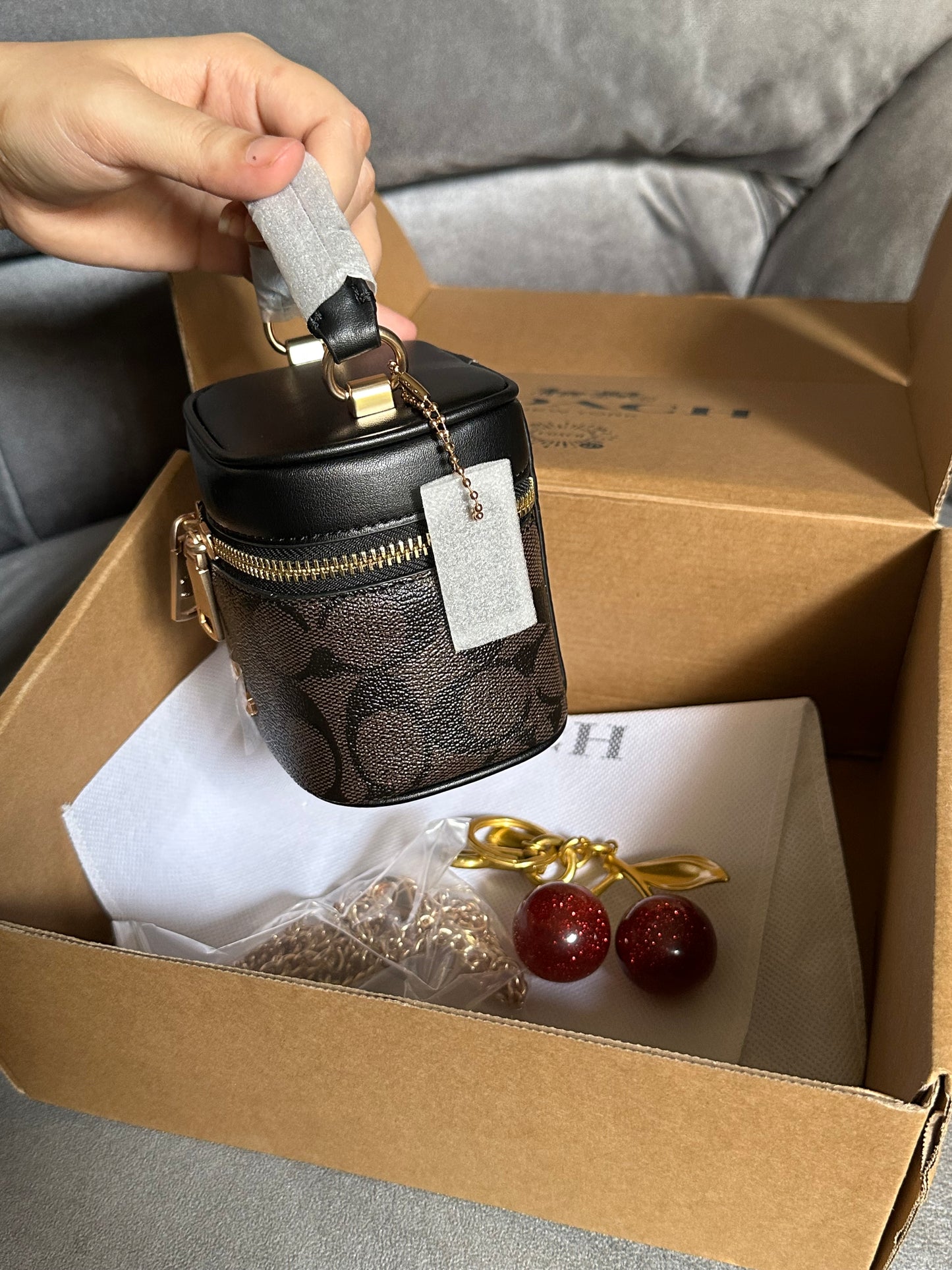 Coach mini new edition