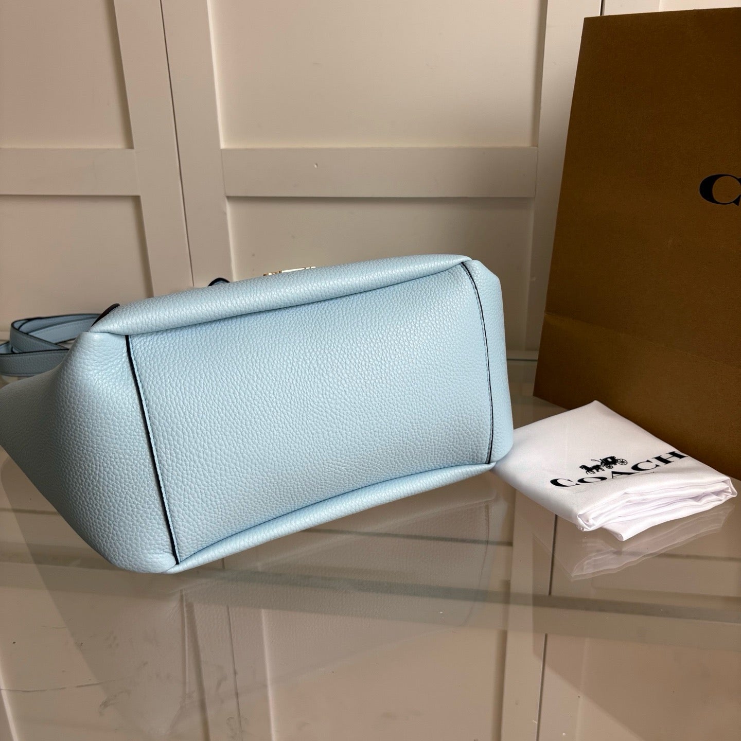 Coach tote bag ( Pre order )