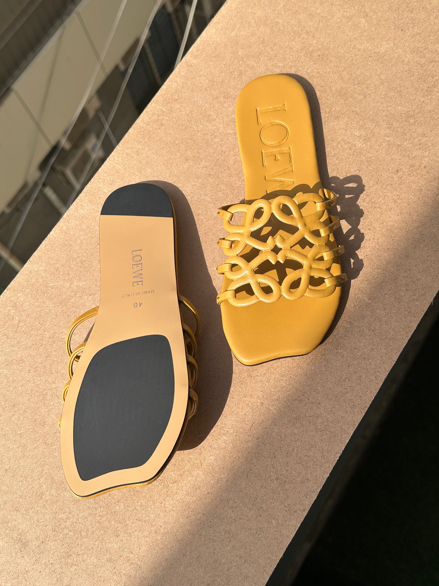 Loewe slipper ( Pre order )