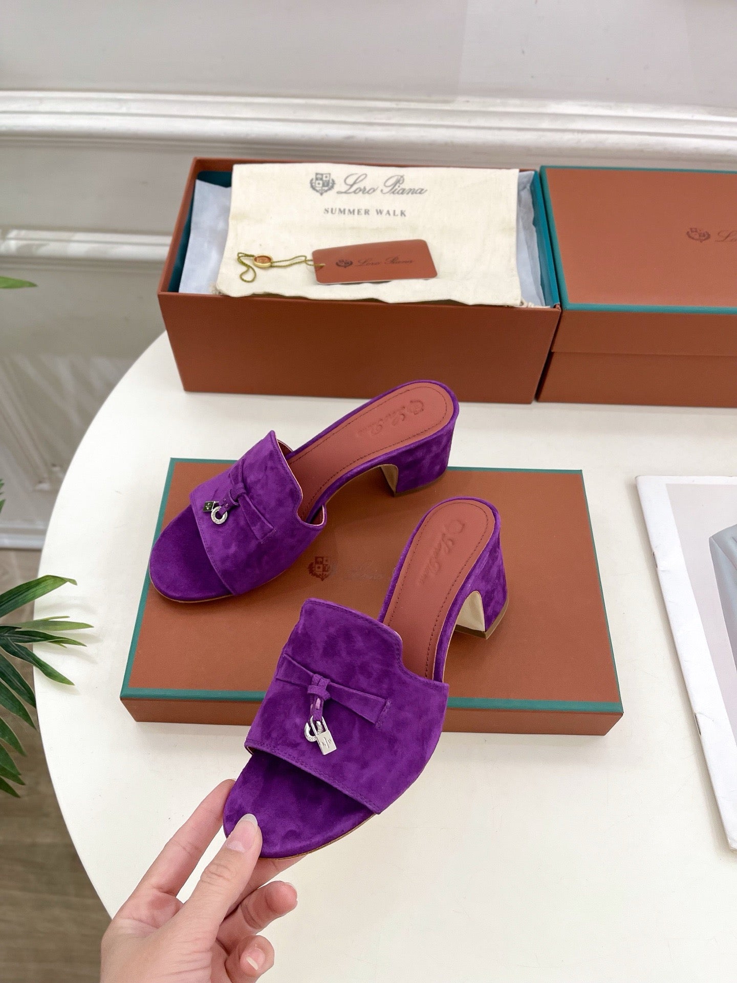 Loro Piana new edition