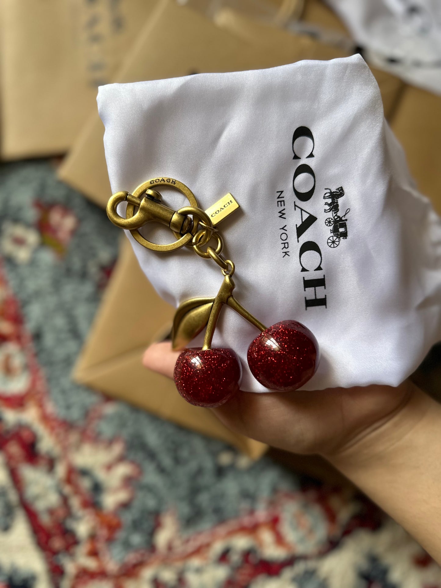 Coach Keychain