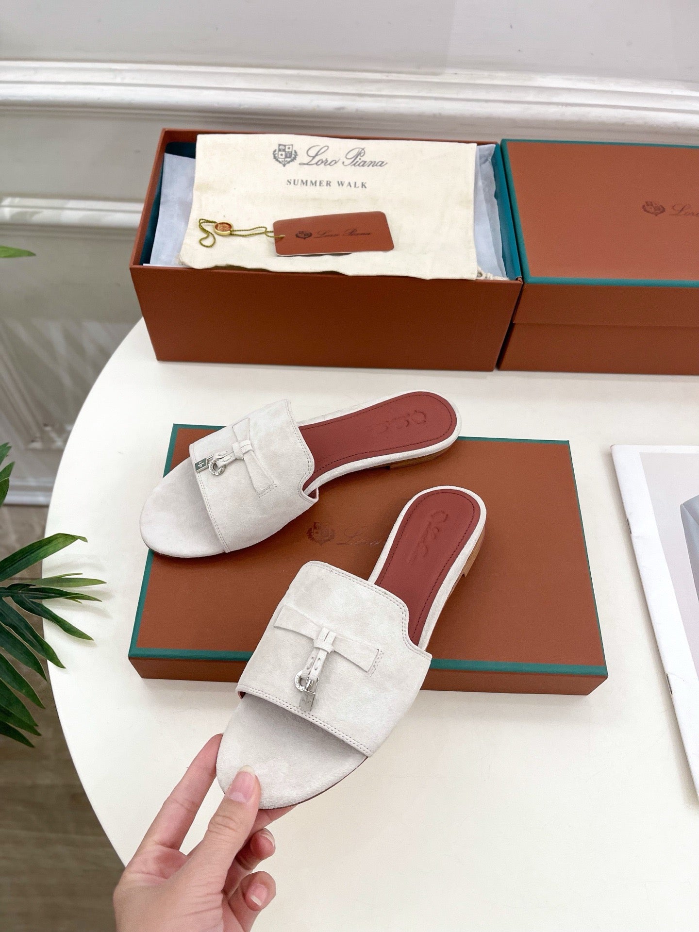 Loro Piana new edition