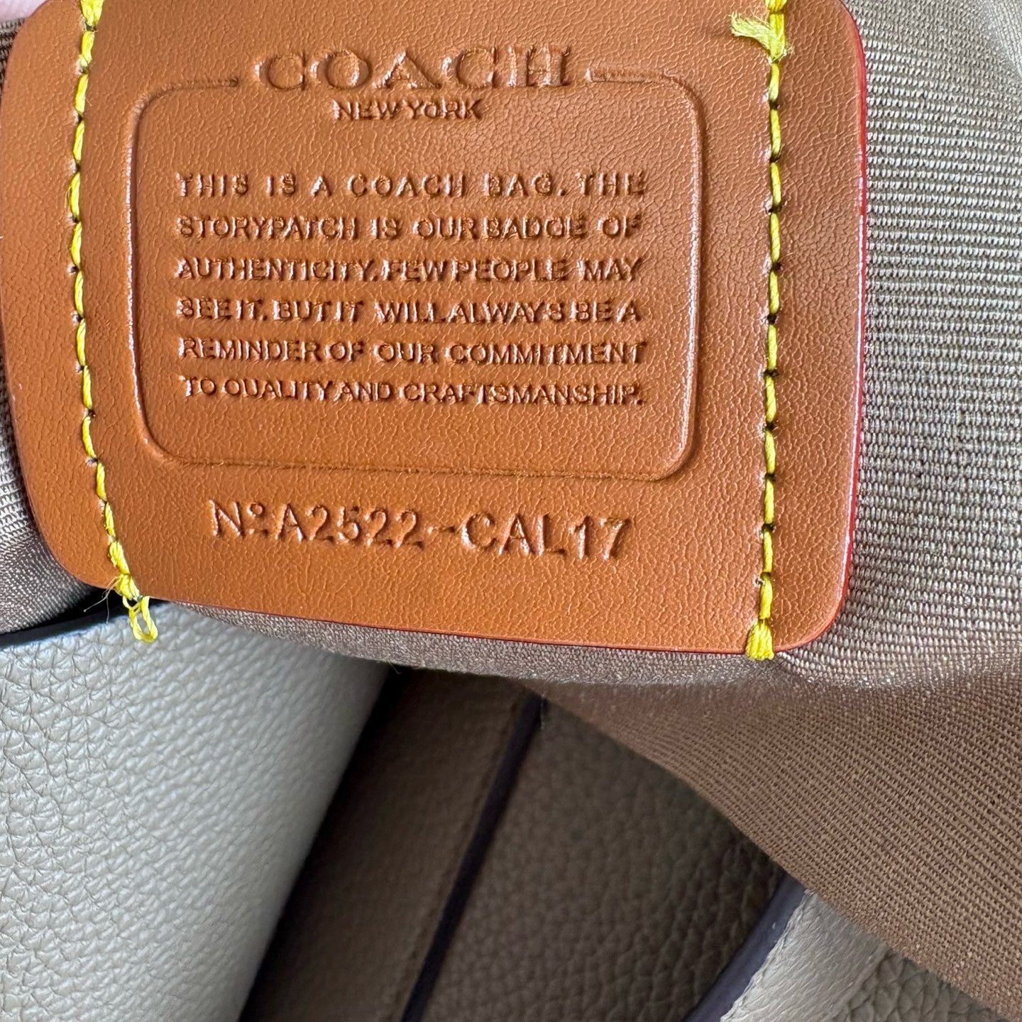 Coach tote bag ( Pre order )