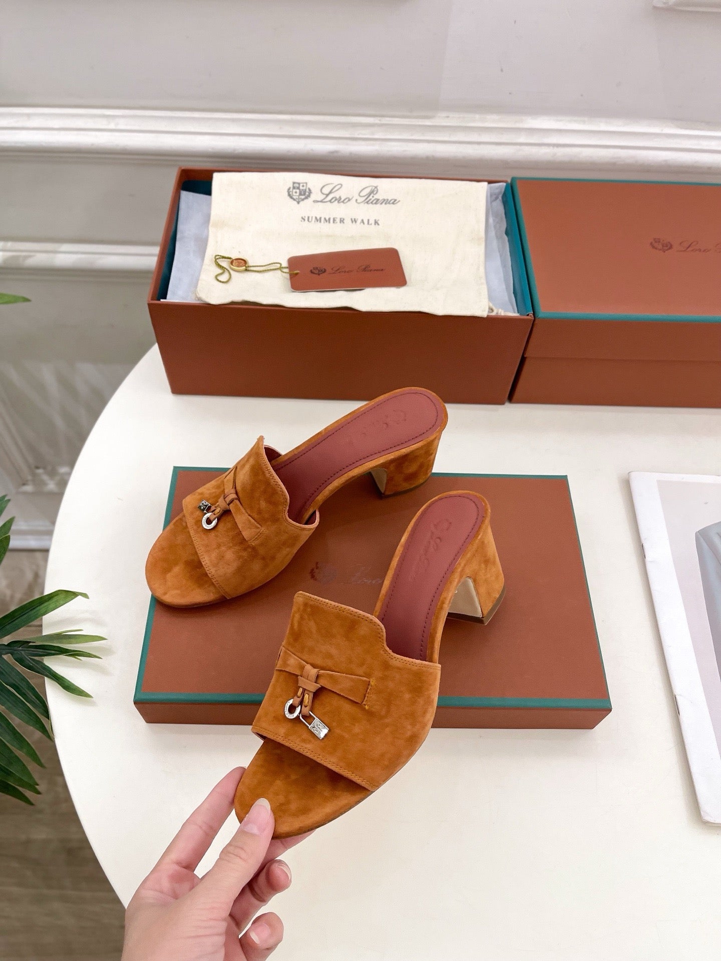 Loro Piana new edition