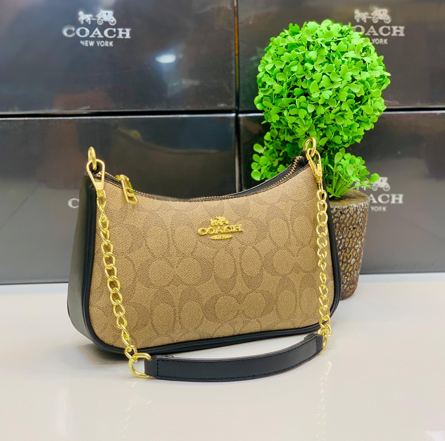 Coach bag ( 5 colors)