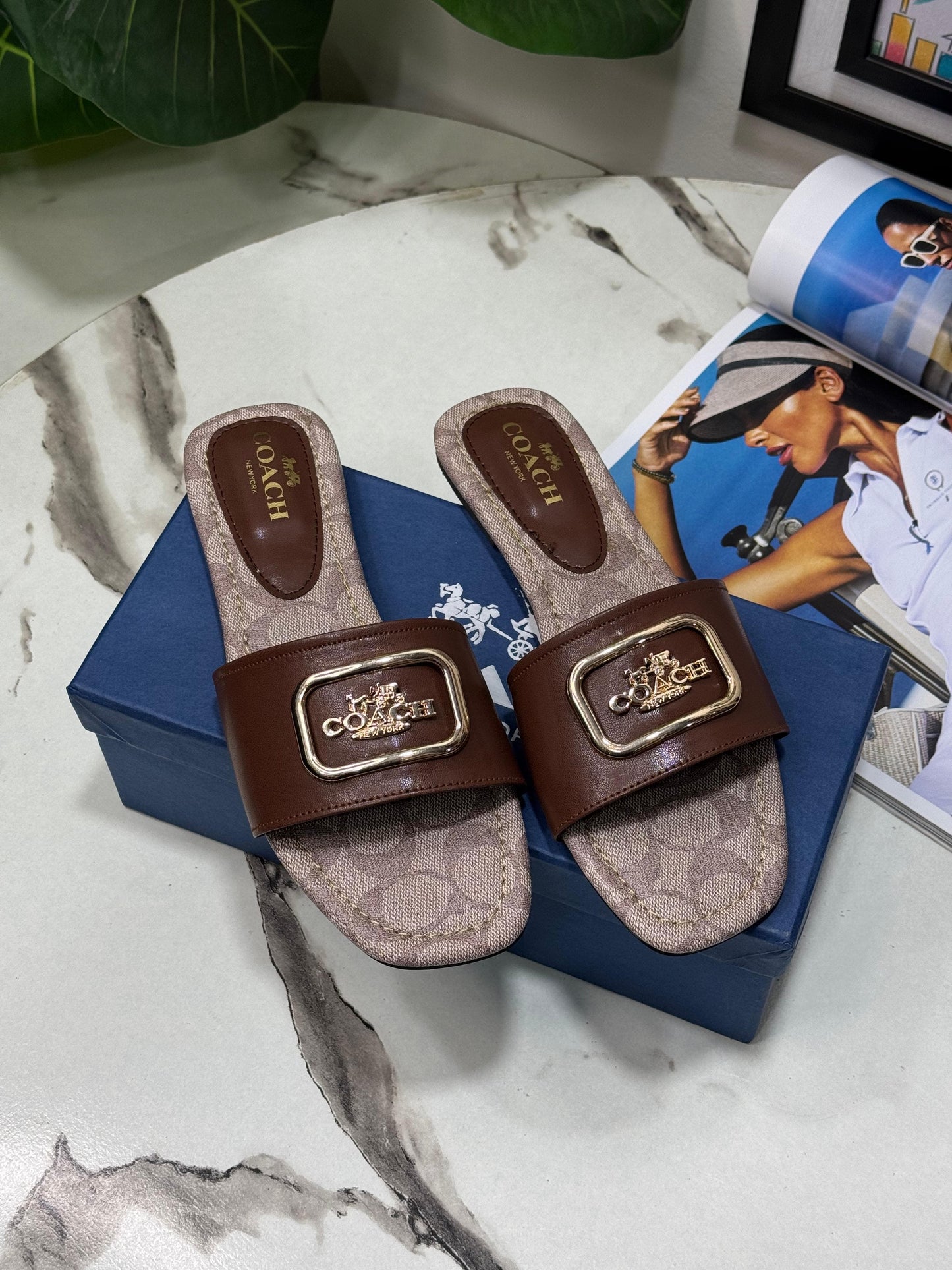 Coach slipper ( 4 colors )