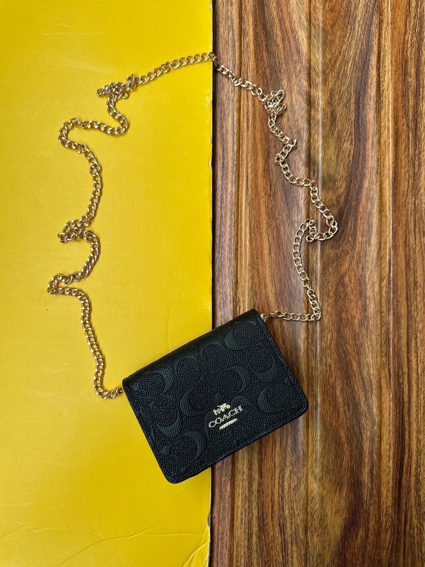 Coach wallet with chain ( remove able chain )