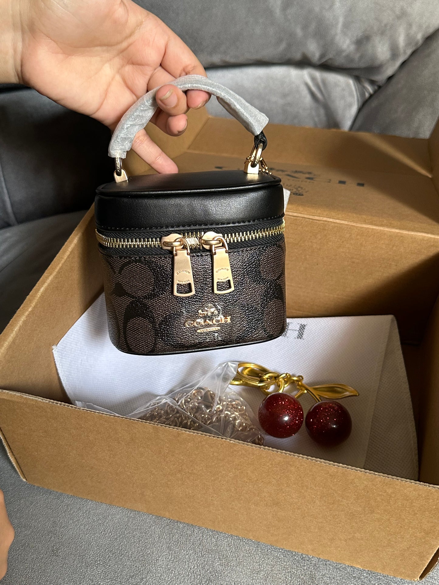 Coach mini new edition