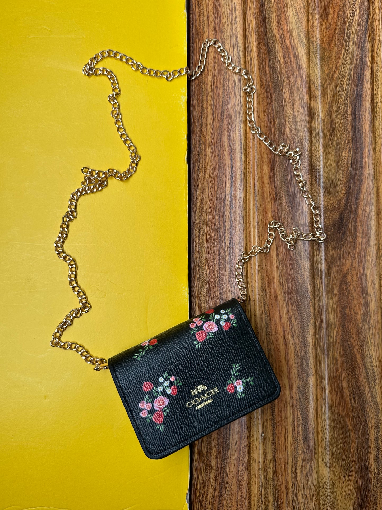 Coach wallet with chain ( remove able chain )