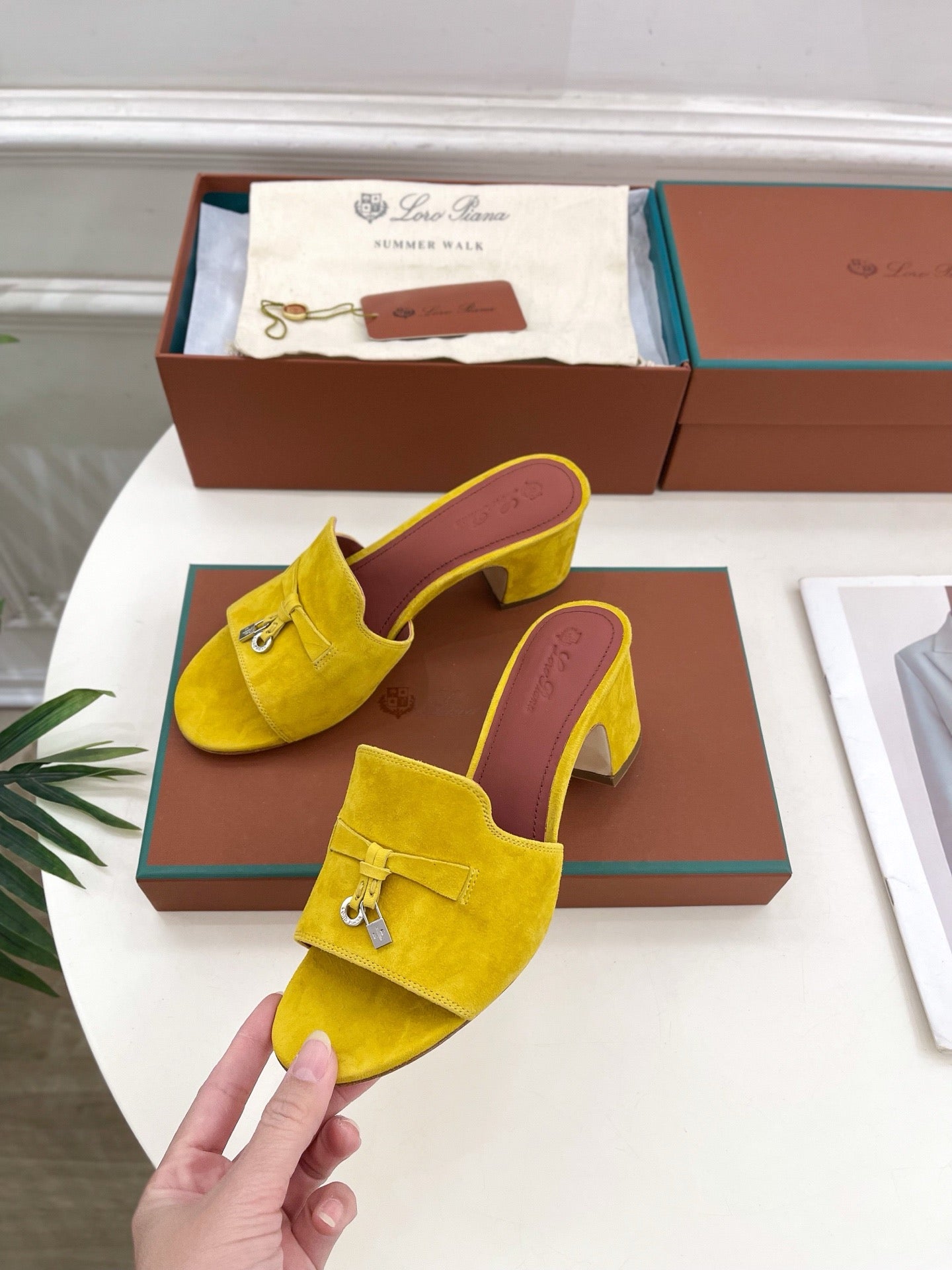 Loro Piana new edition