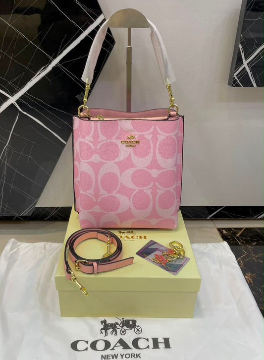 C famous brand bag ( 3 colors )