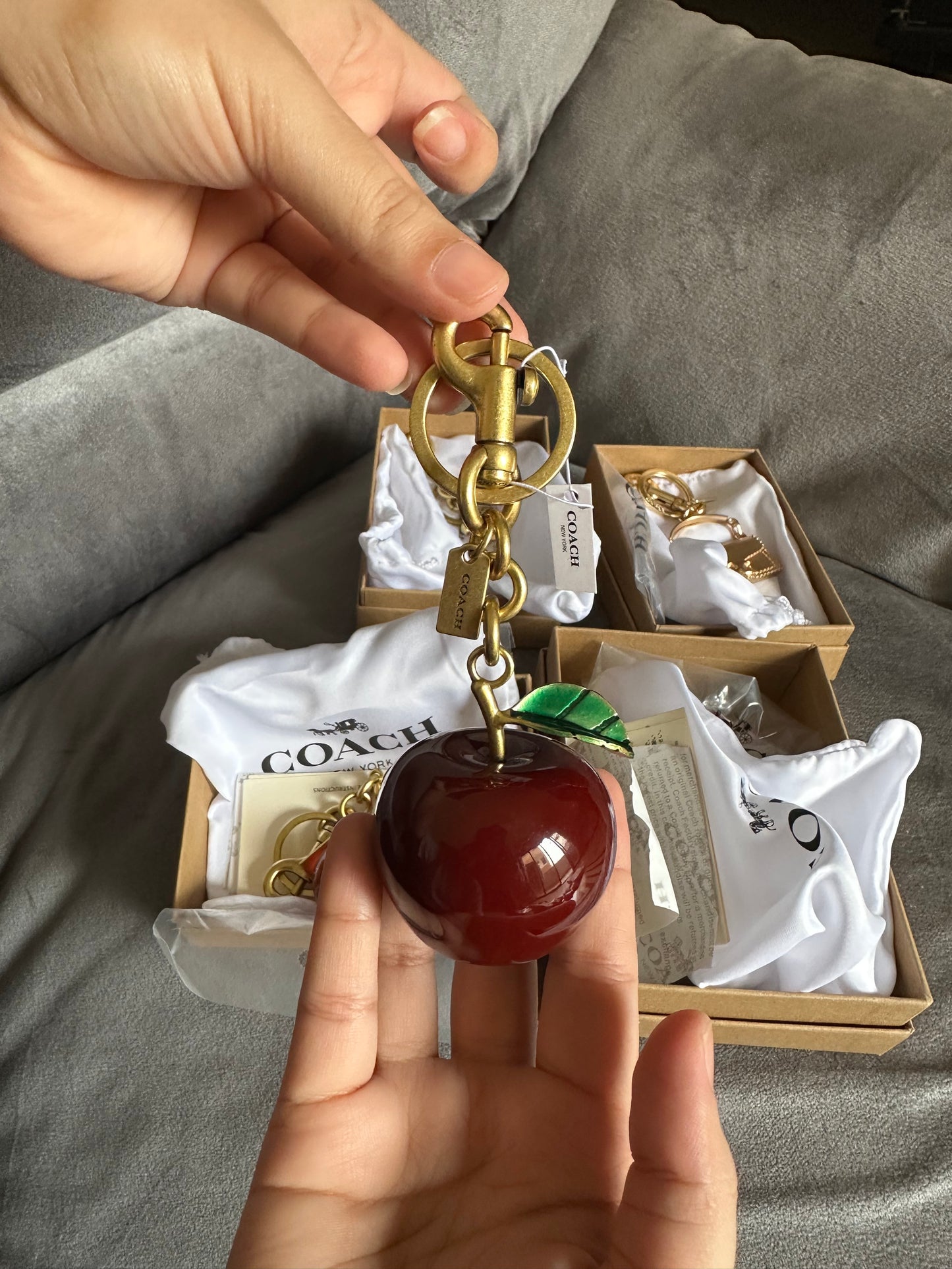 Coach keychain