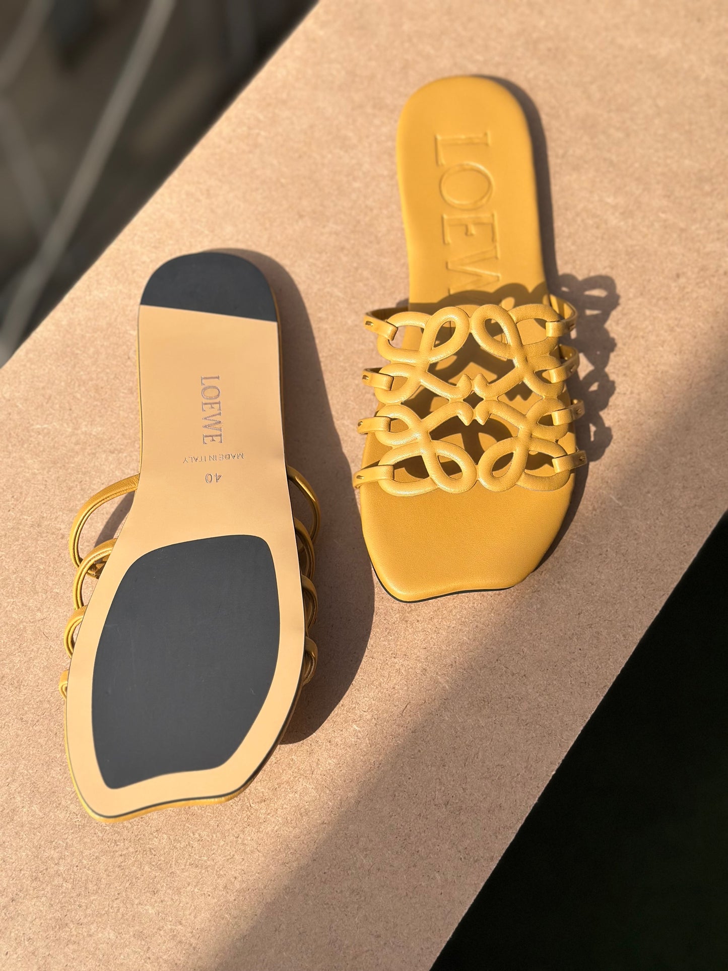 Loewe slipper ( Pre order )