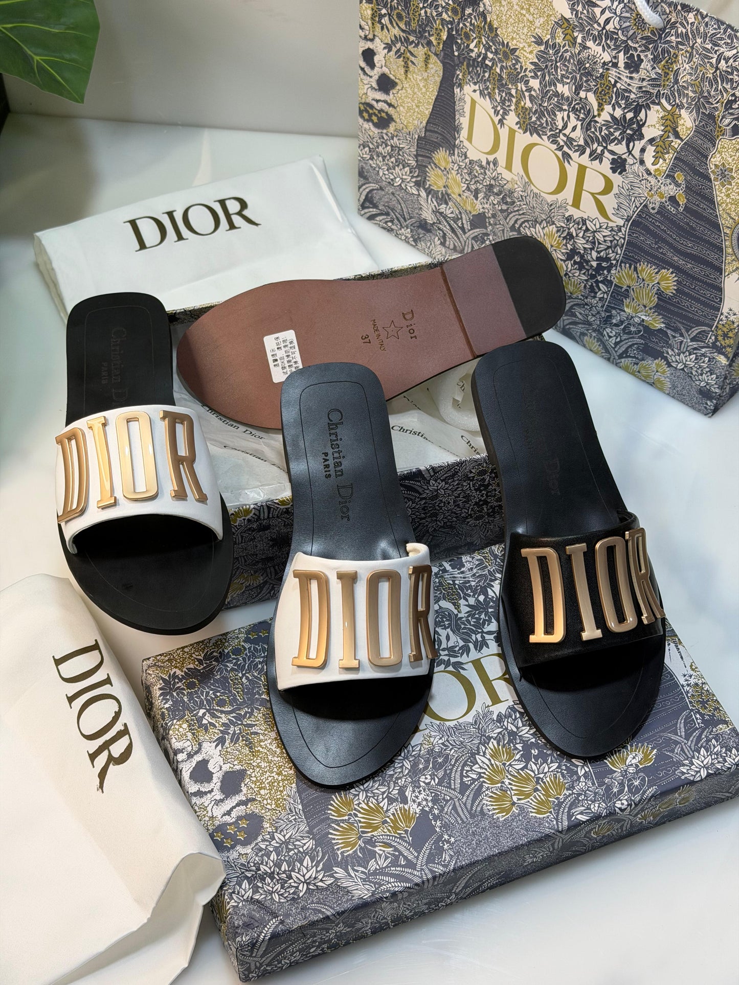 D flats famous brand