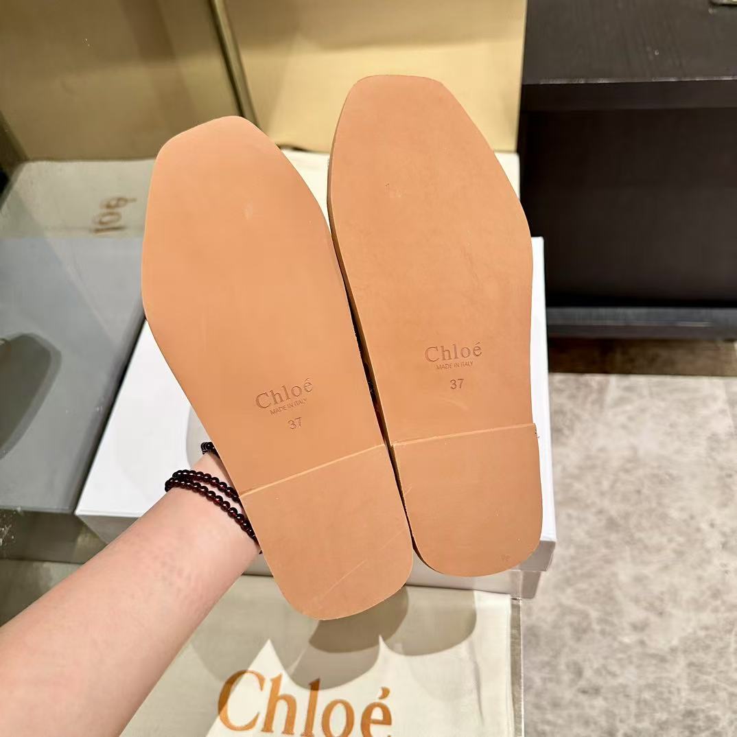 Famous brand slipper ( Pre order )