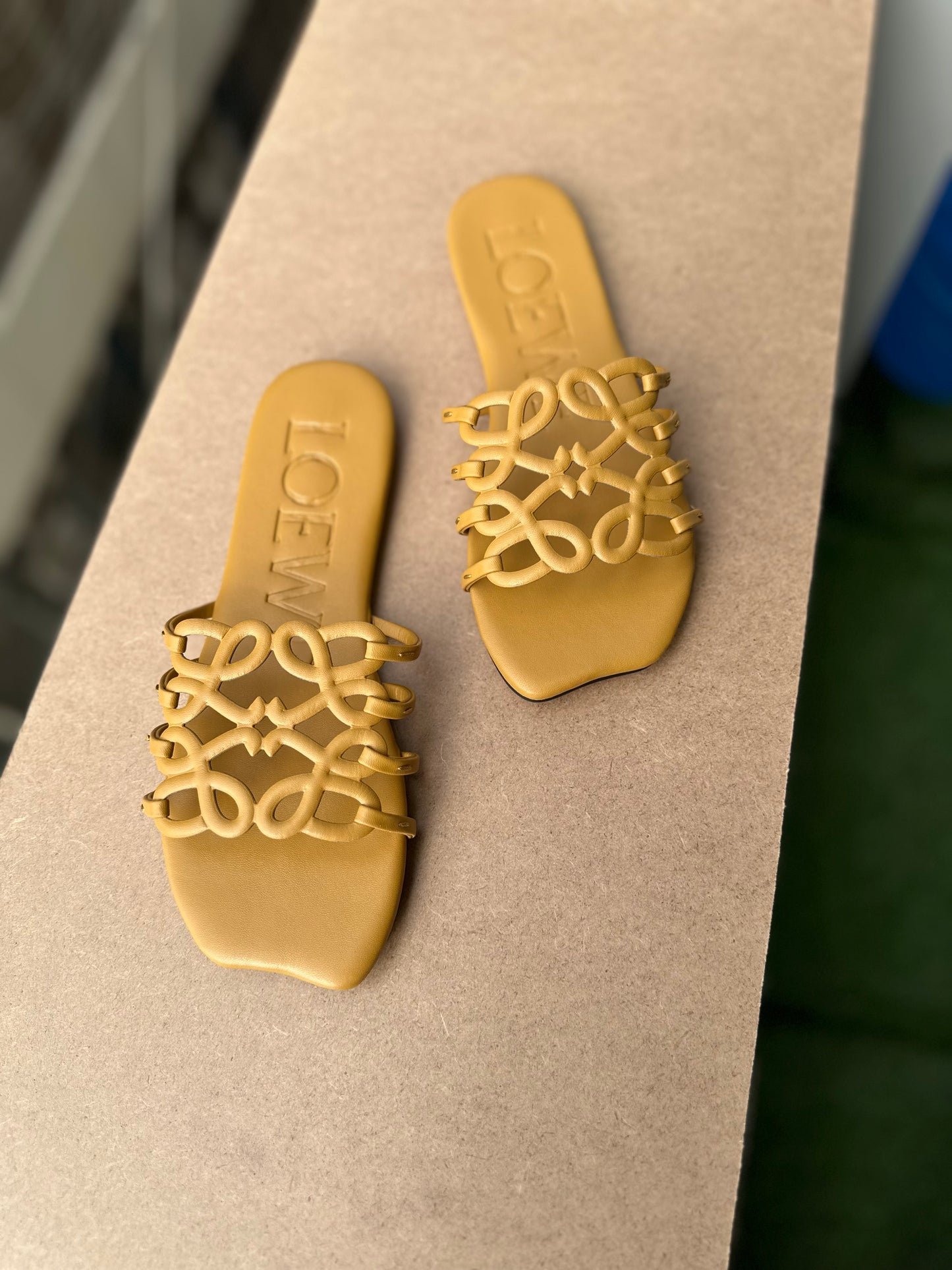 Loewe slipper ( Pre order )