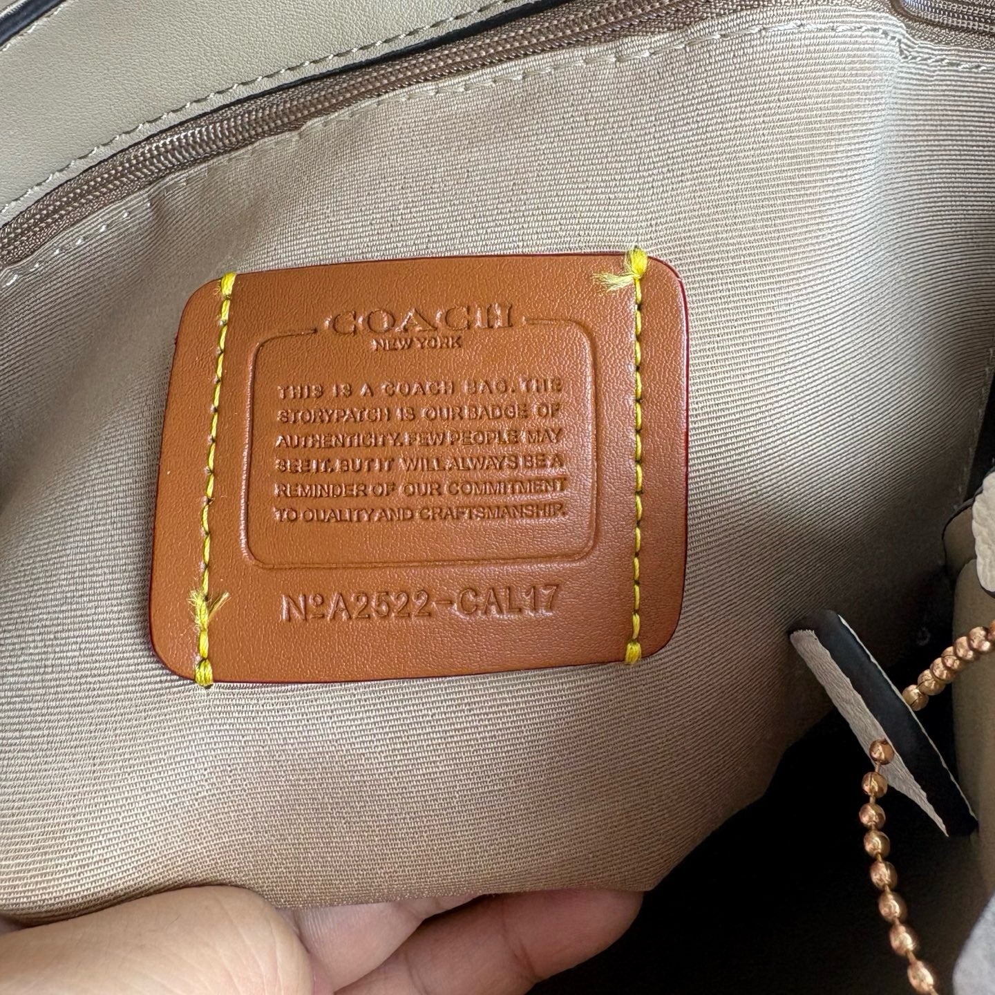 Coach tote bag ( Pre order )