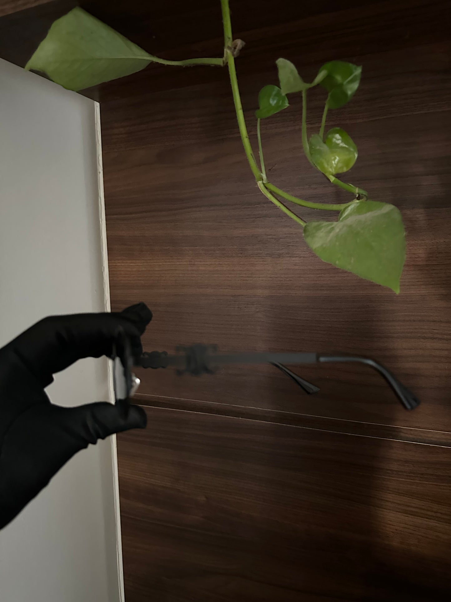 Famous brand sunglasses