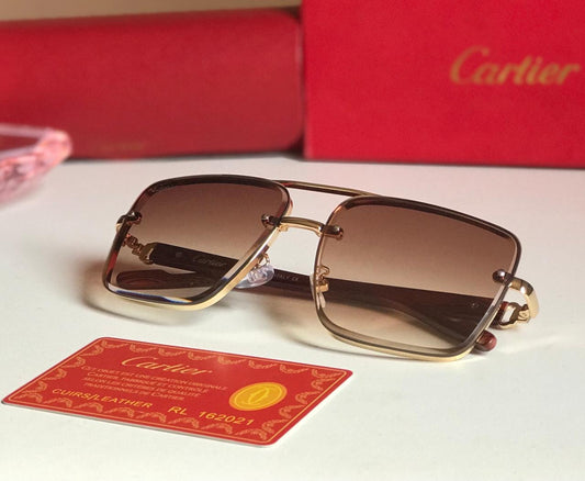 Famous brand sunglasses ( 2 shades )