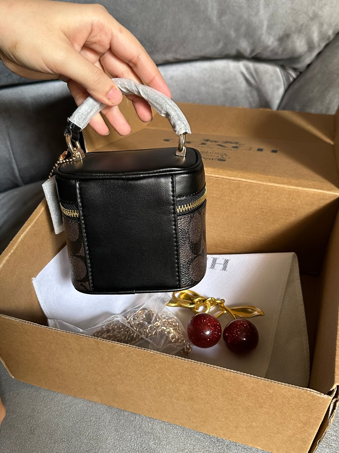 Coach mini new edition