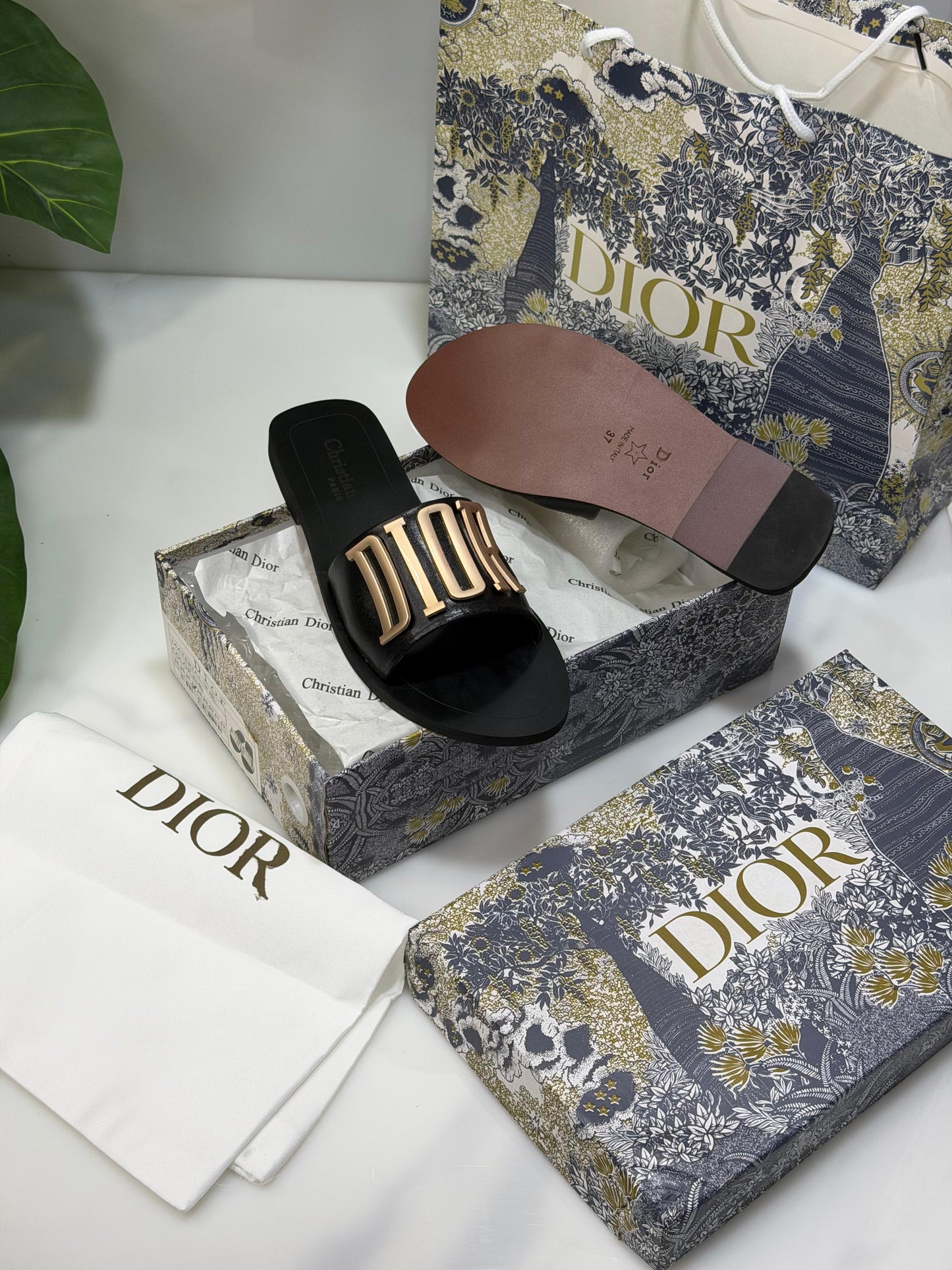 D flats famous brand