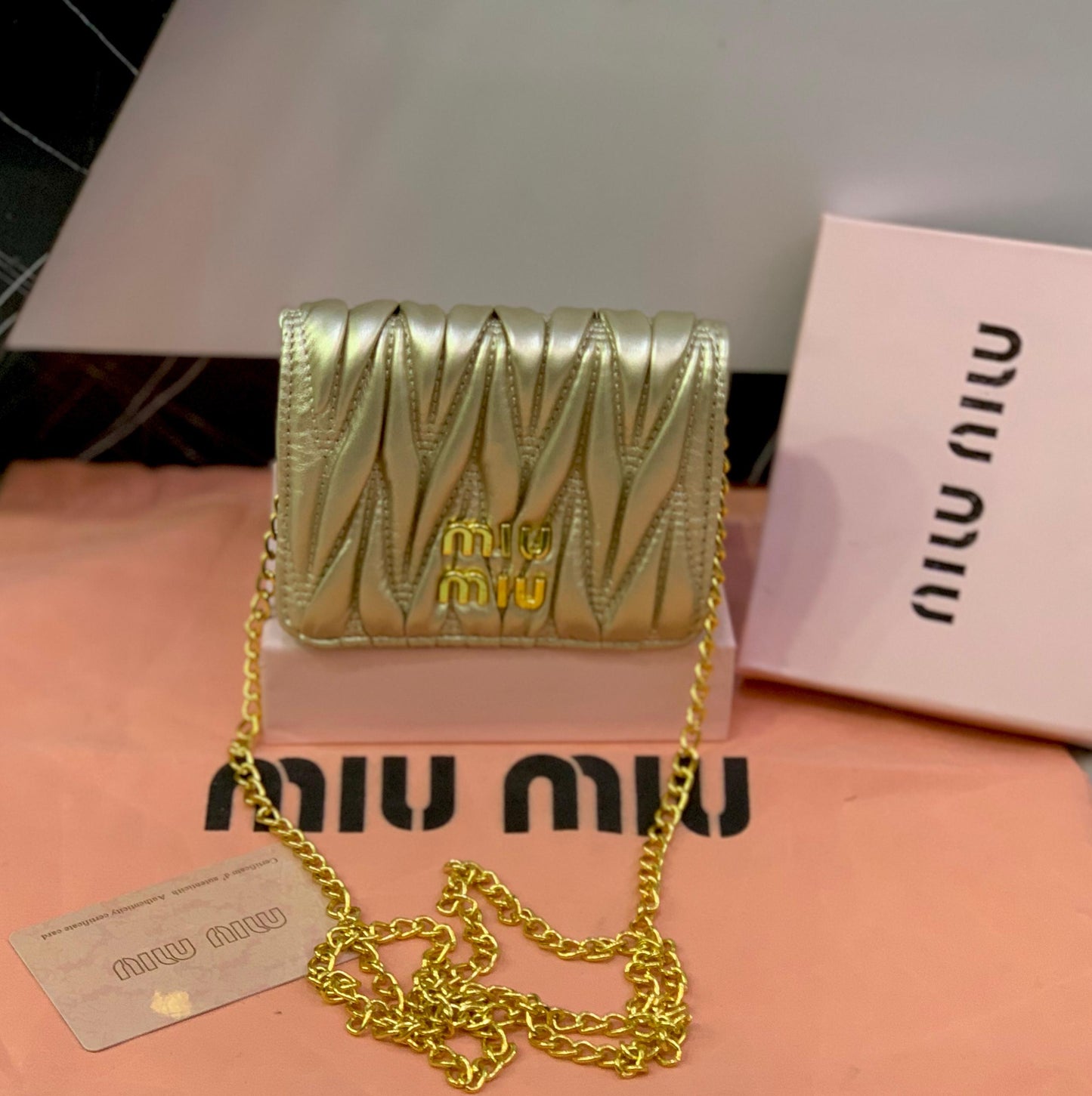 Miu Miu mini Wallet/bag