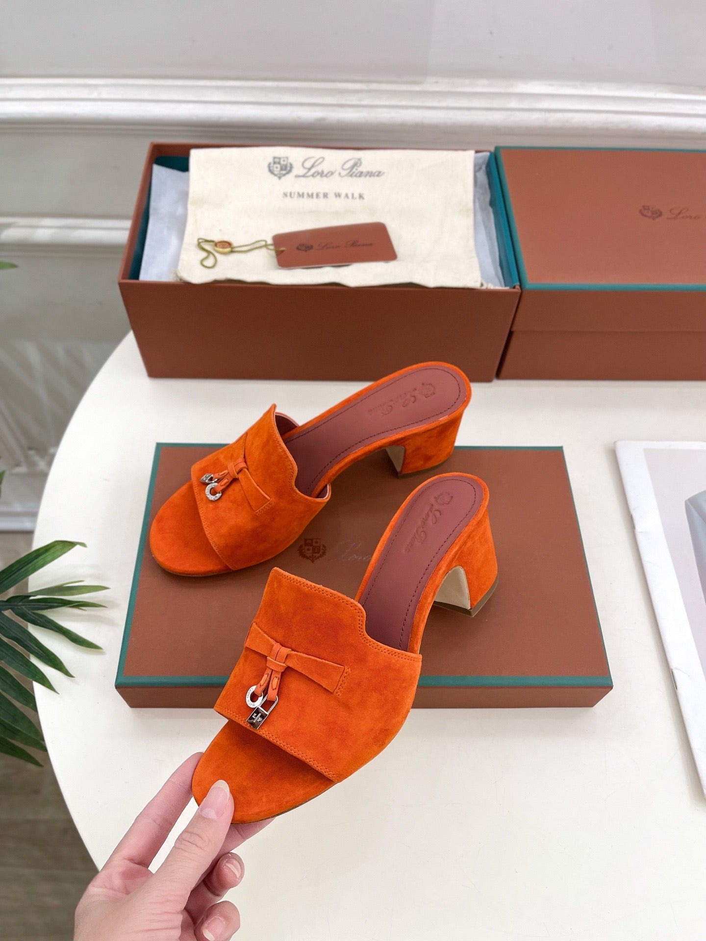 Loro Piana new edition