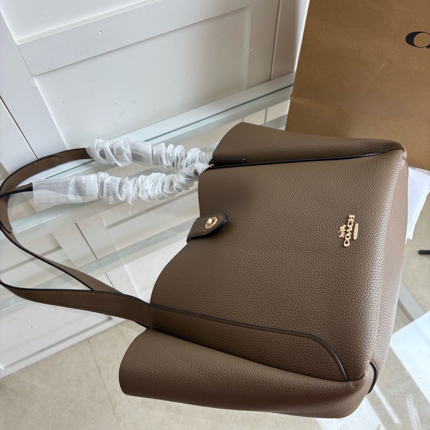 Coach tote bag ( Pre order )