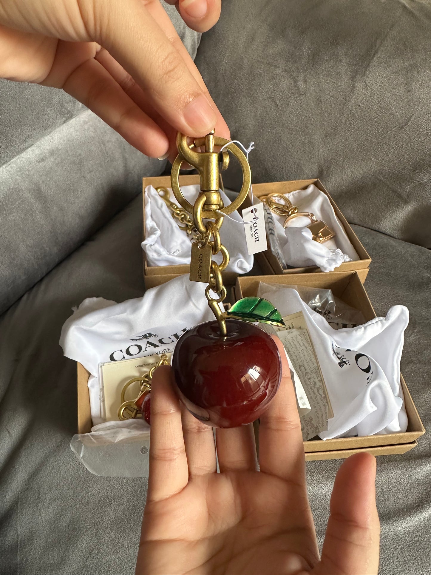 Coach keychain