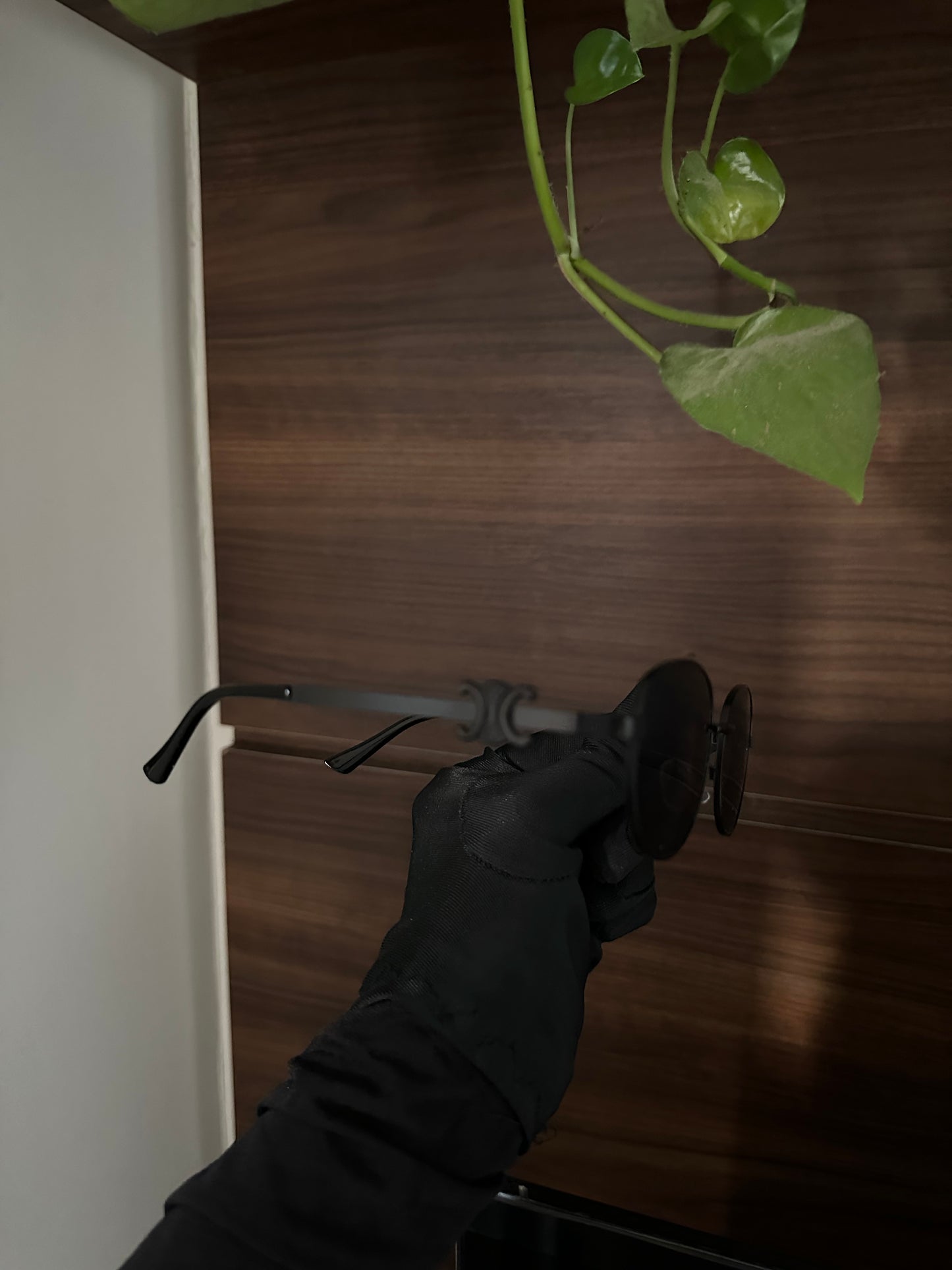 Famous brand sunglasses