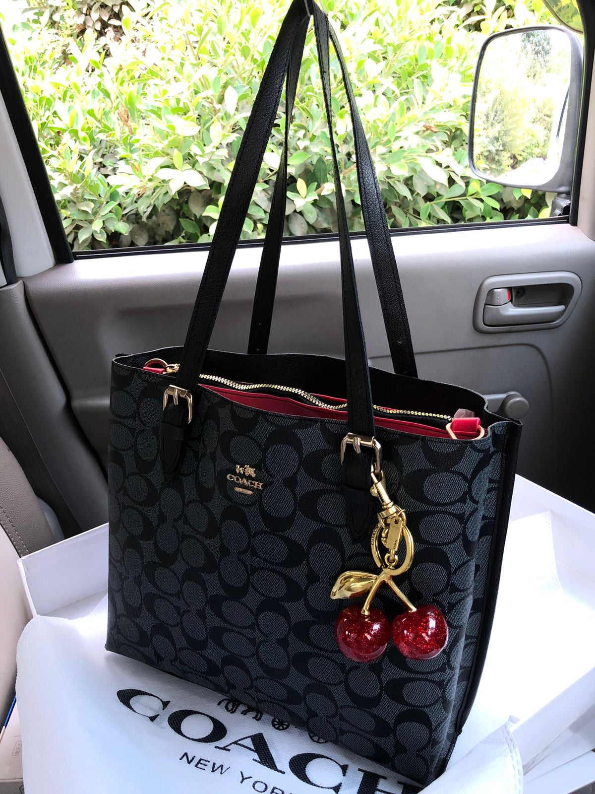 Coach bag ( 4 colors )