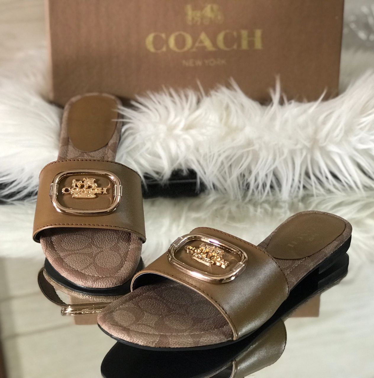 Coach slipper ( 2 colors)