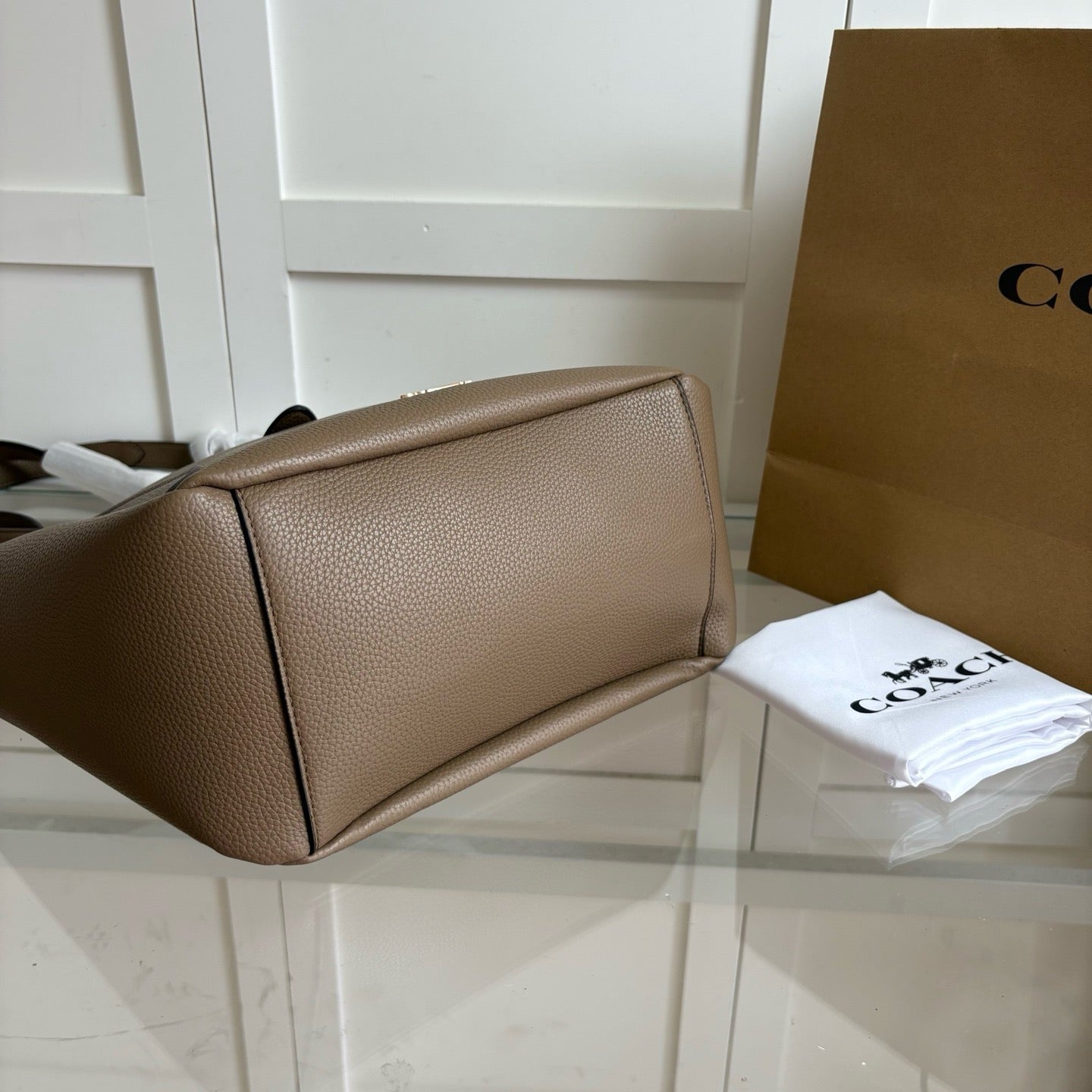 Coach tote bag ( Pre order )