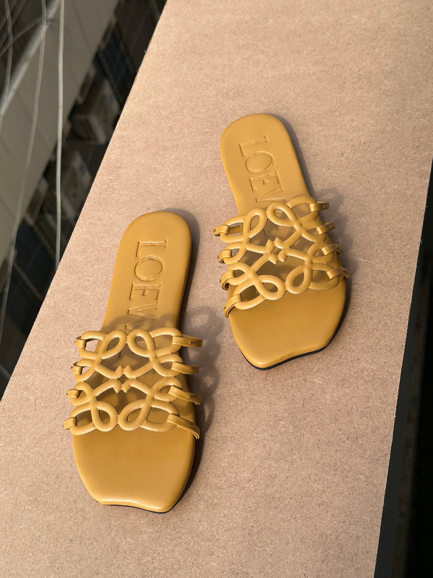 Loewe slipper ( Pre order )