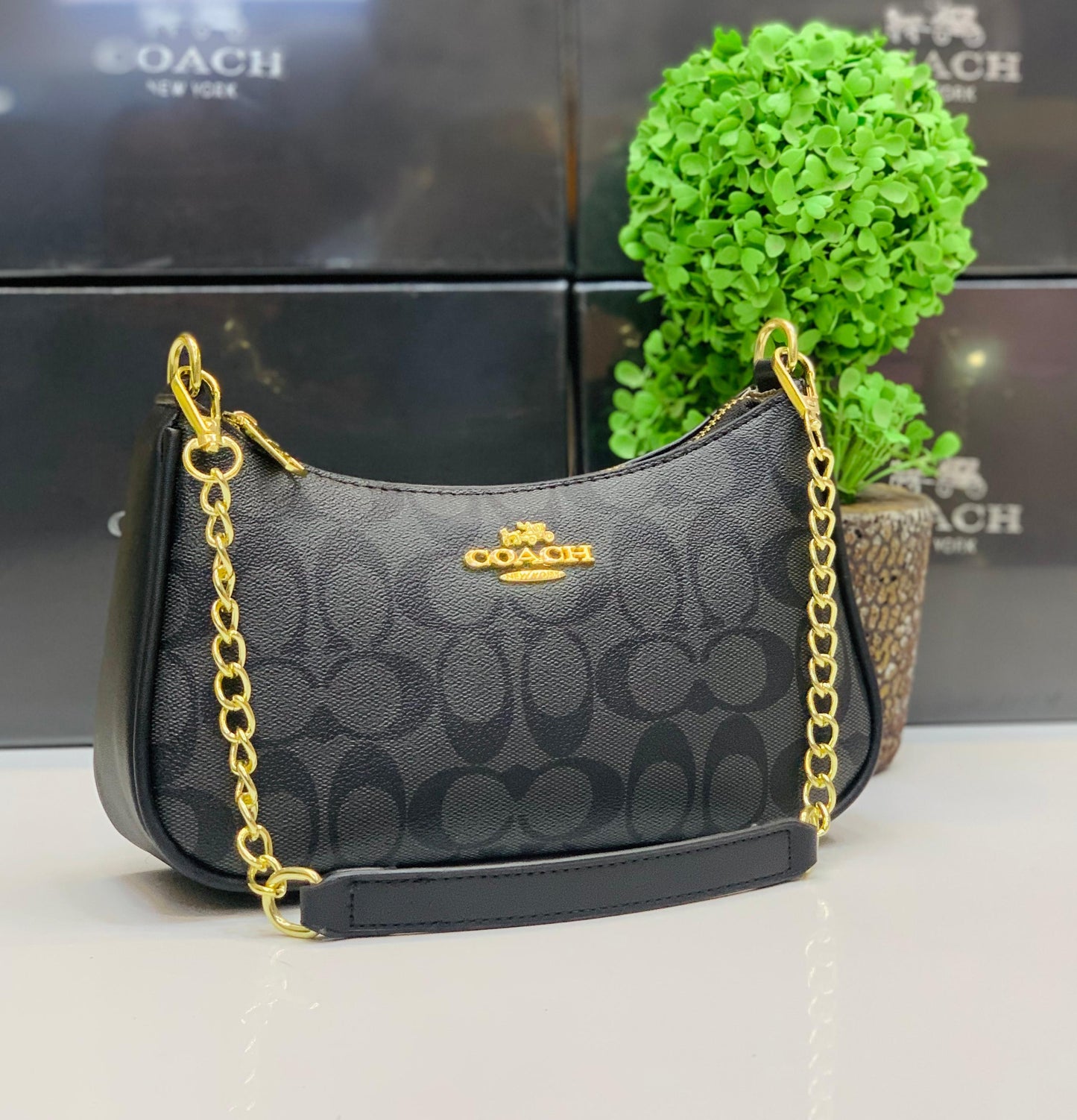 Coach bag ( 5 colors)