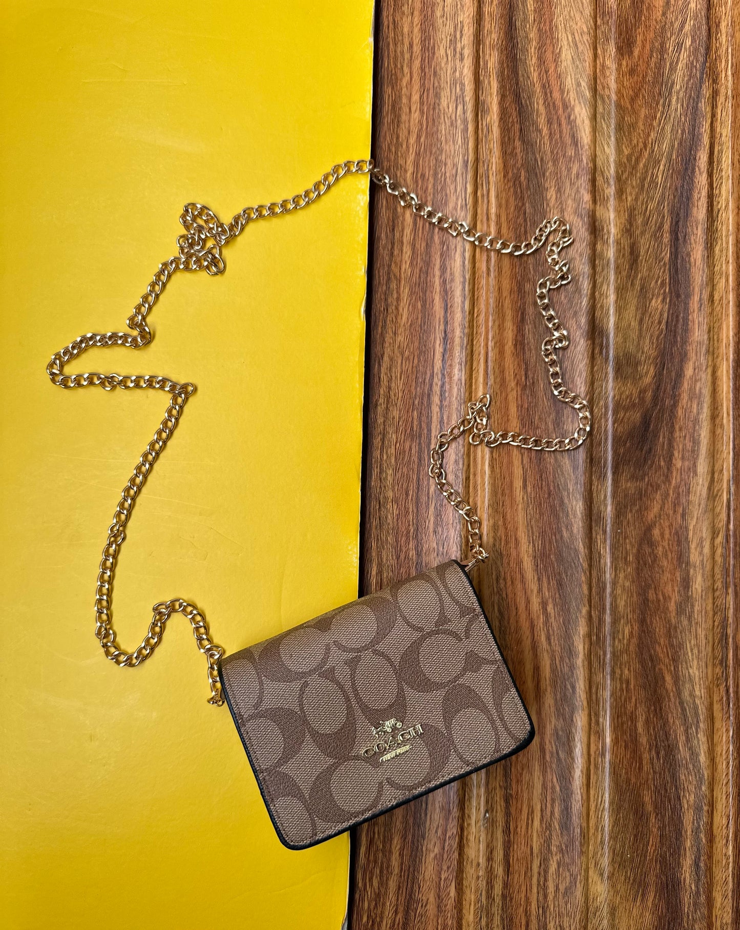 Coach wallet with chain ( remove able chain )