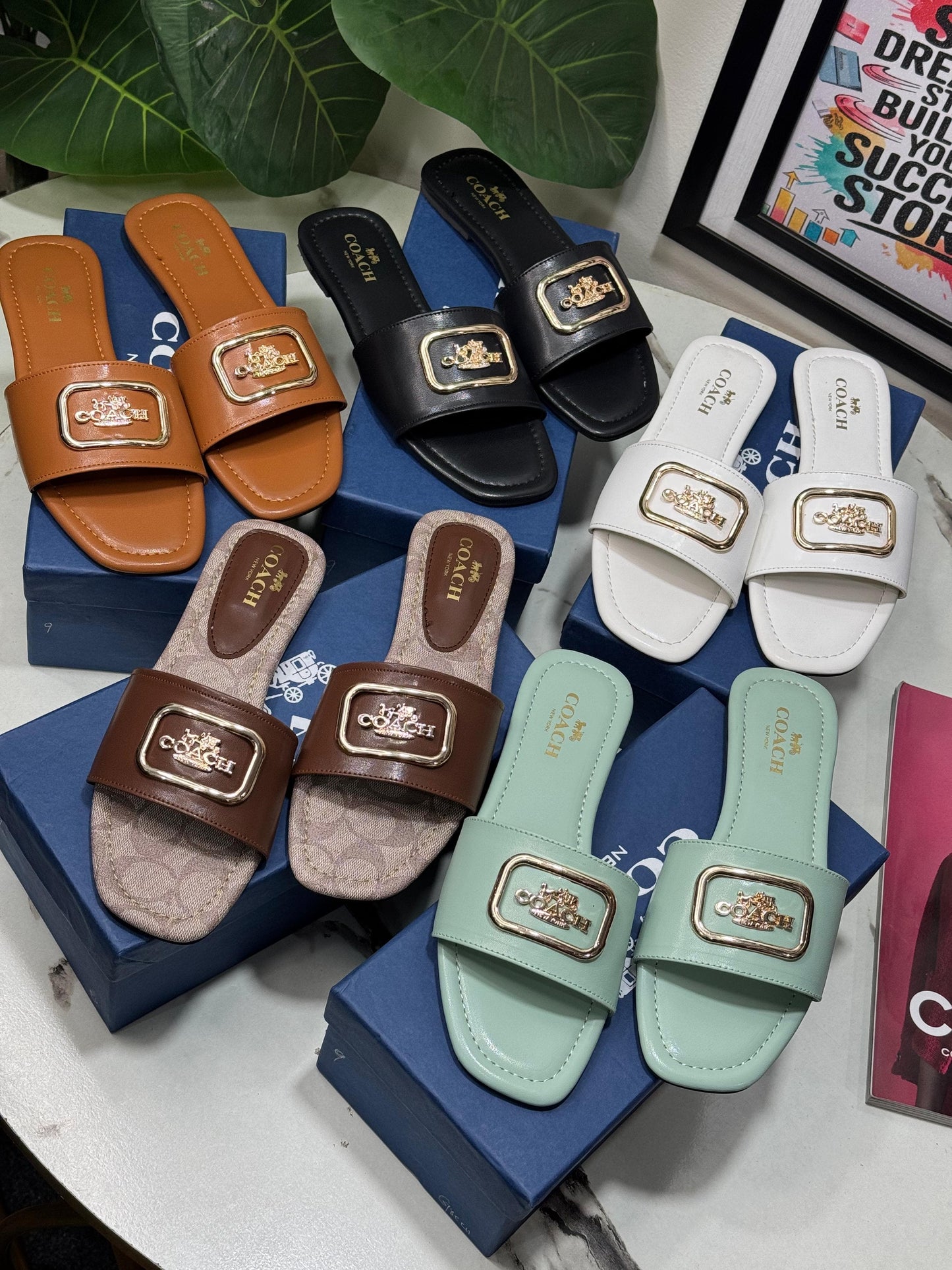 Coach slipper ( 4 colors )